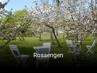 Rosaengen